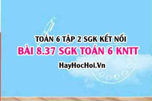 Bài 8.37 SGK Toán 6 tập 2 Kết nối tri thức